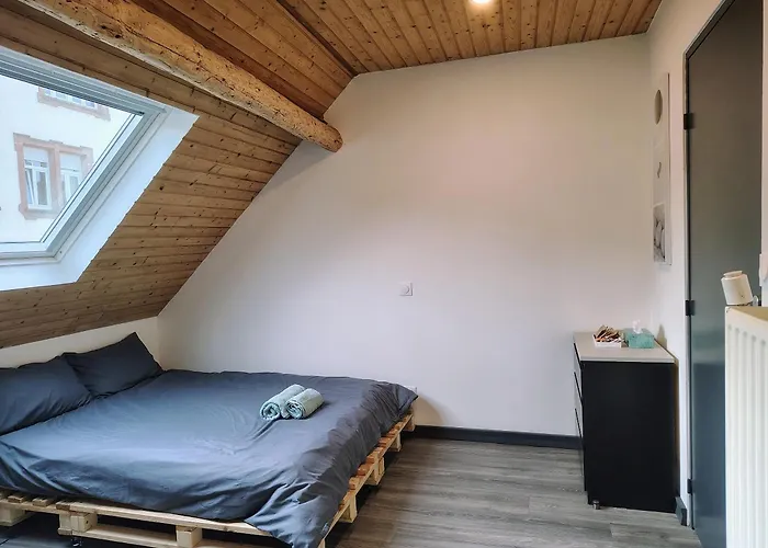 Privées Au Calme Avec Espaces Partagés Habitación en casa particular Metz